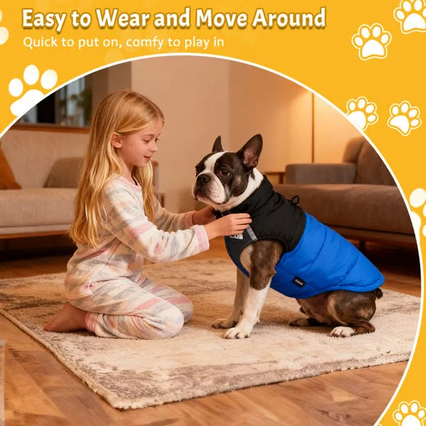 Cosy Dog Coat for Everyday Walks