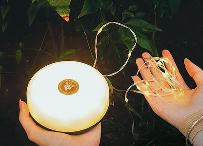 Portable Retractable LED Camping & Decorative String Lights
