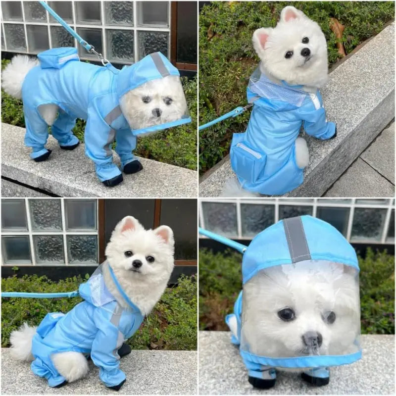 Full-Coverage Waterproof Dog Raincoat with Hood & Boots