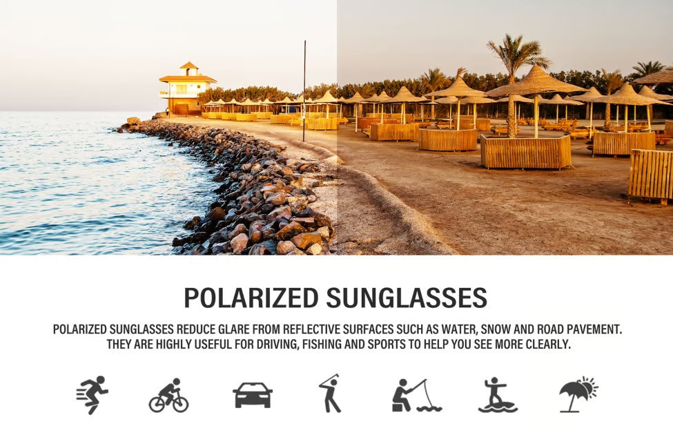 Polarised Round Cat-Eye Sunglasses