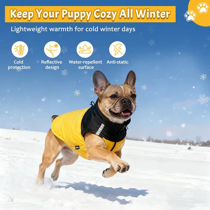 Cosy Dog Coat for Everyday Walks