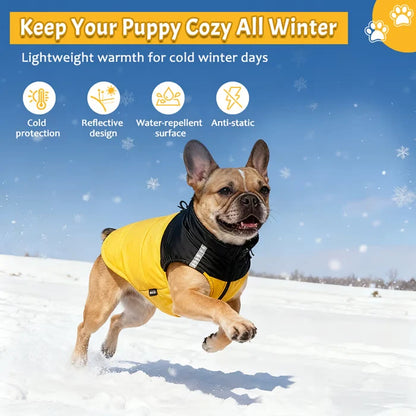 Cosy Dog Coat for Everyday Walks