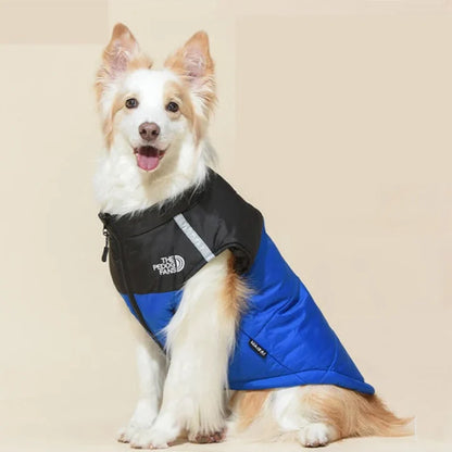 Cosy Dog Coat for Everyday Walks