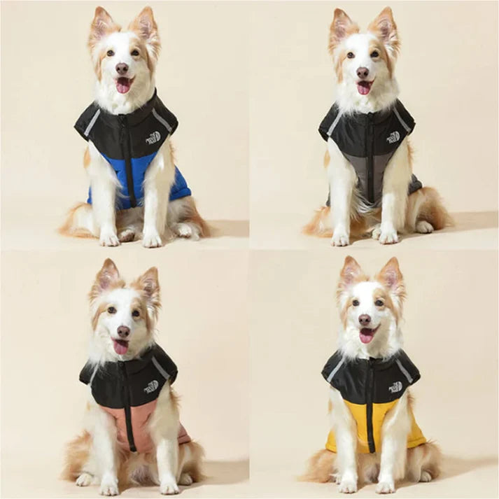 Cosy Dog Coat for Everyday Walks