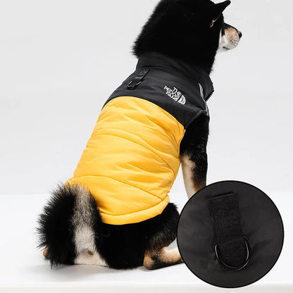 Cosy Dog Coat for Everyday Walks
