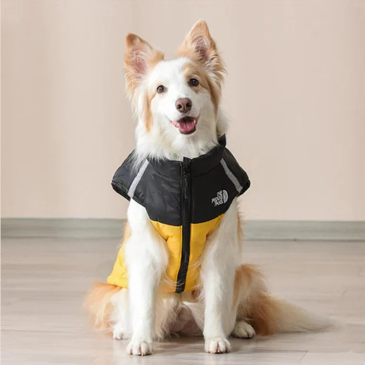 Cosy Dog Coat for Everyday Walks