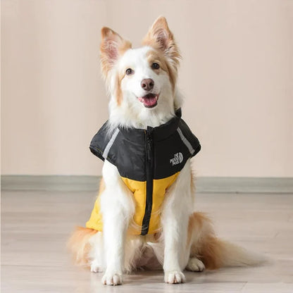 Cosy Dog Coat for Everyday Walks