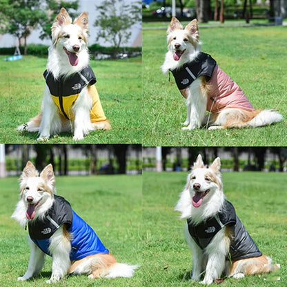 Cosy Dog Coat for Everyday Walks