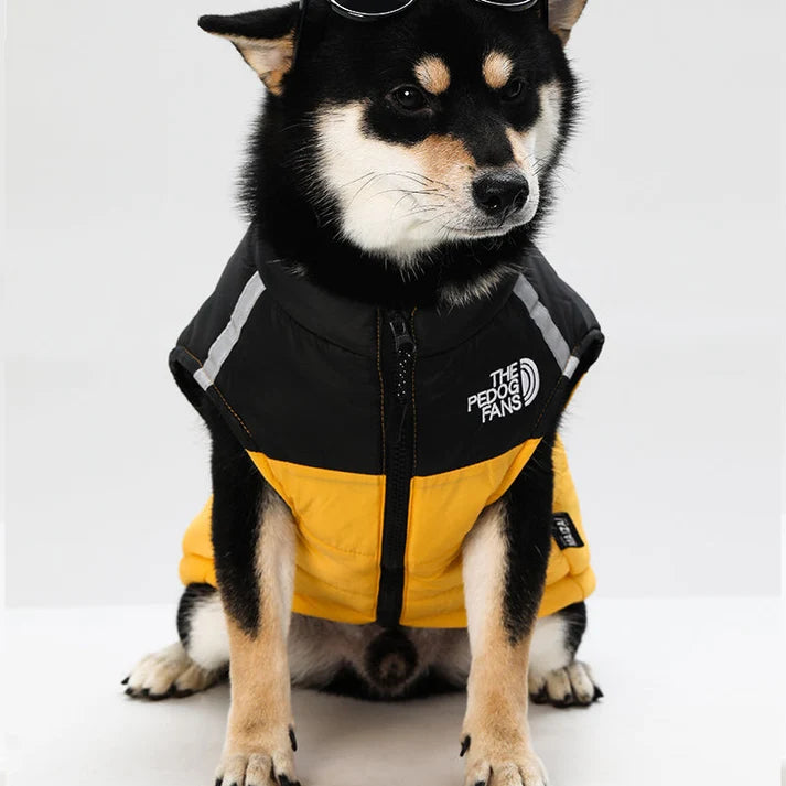 Cosy Dog Coat for Everyday Walks