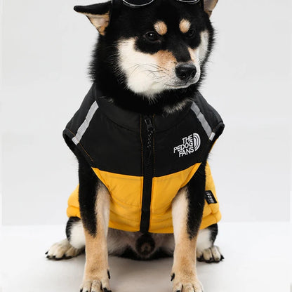 Cosy Dog Coat for Everyday Walks