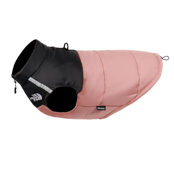 Cosy Dog Coat for Everyday Walks