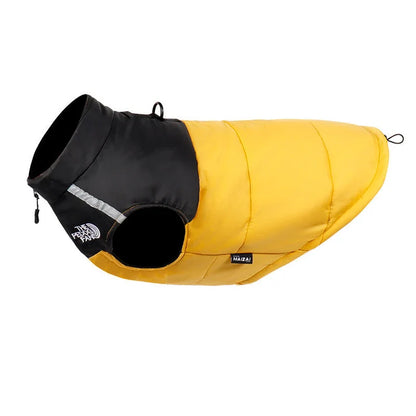 Cosy Dog Coat for Everyday Walks