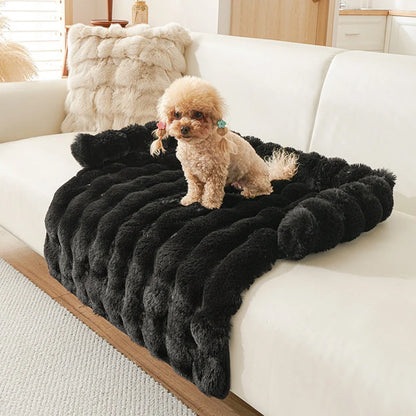 Plush Raised-Edge Pet Bed