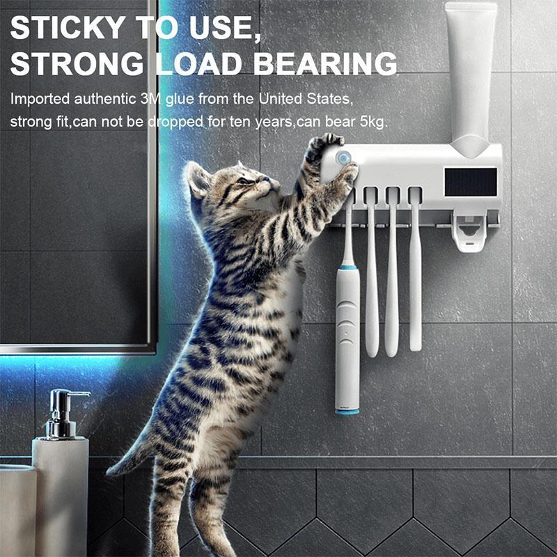 Wall-Mounted Toothbrush Storage Station