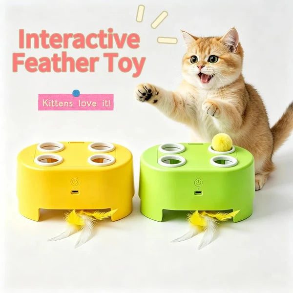 Interactive Pop-Up & Feather Cat Toy