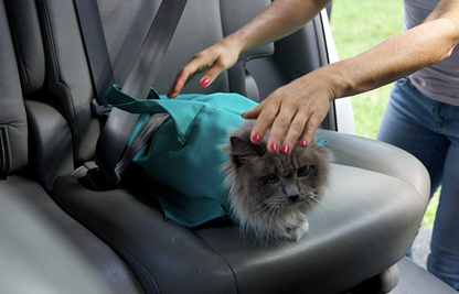 Cat Carrier Pouch: Hands Free, Reversible Pet Papoose, Soft Pouch and Tote Design