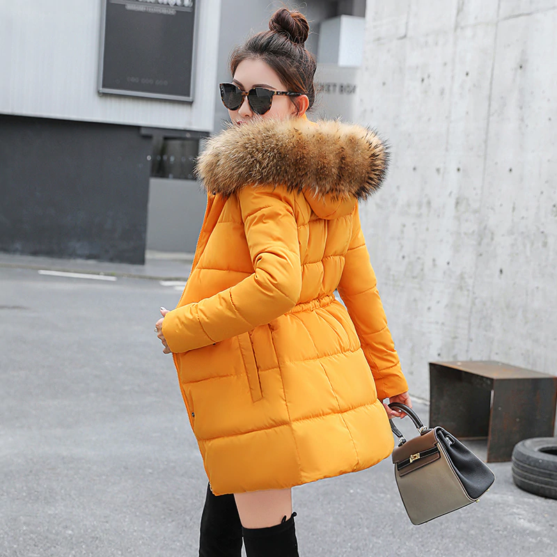 Winter Jacket Women Thick Cotton Padded Lining With Fur Collar