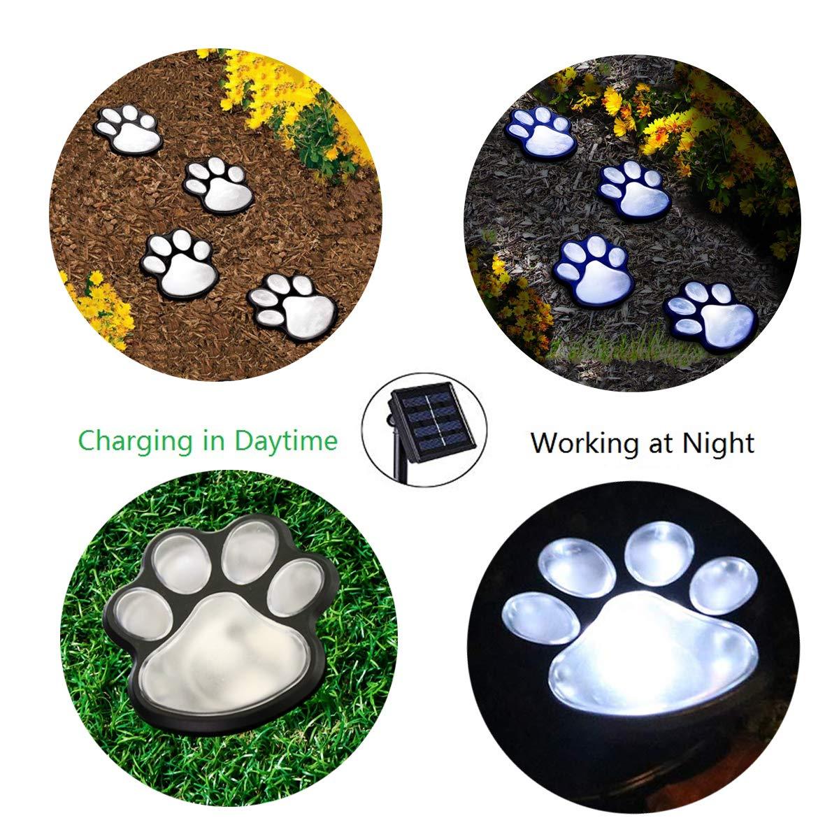 Pet Lover: Solar-Powered Paw Print Lights