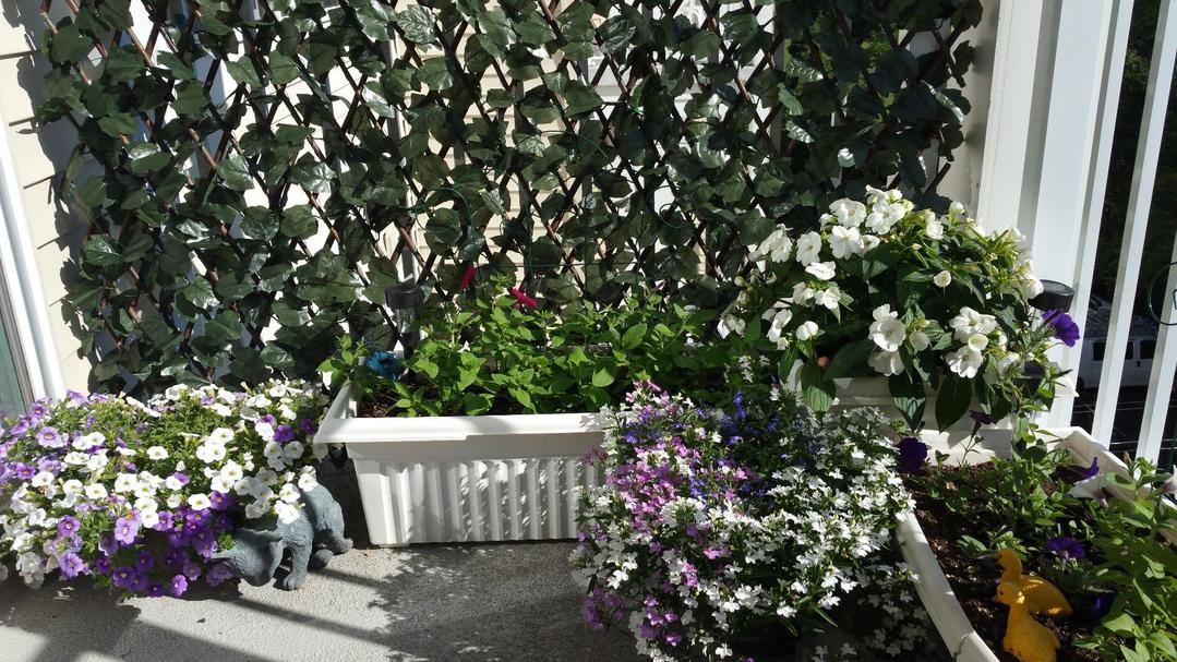 Expandable Faux Privacy Fence