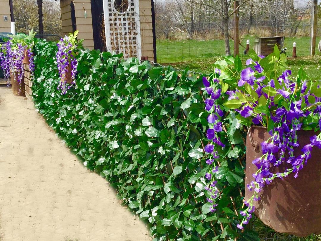 Expandable Faux Privacy Fence