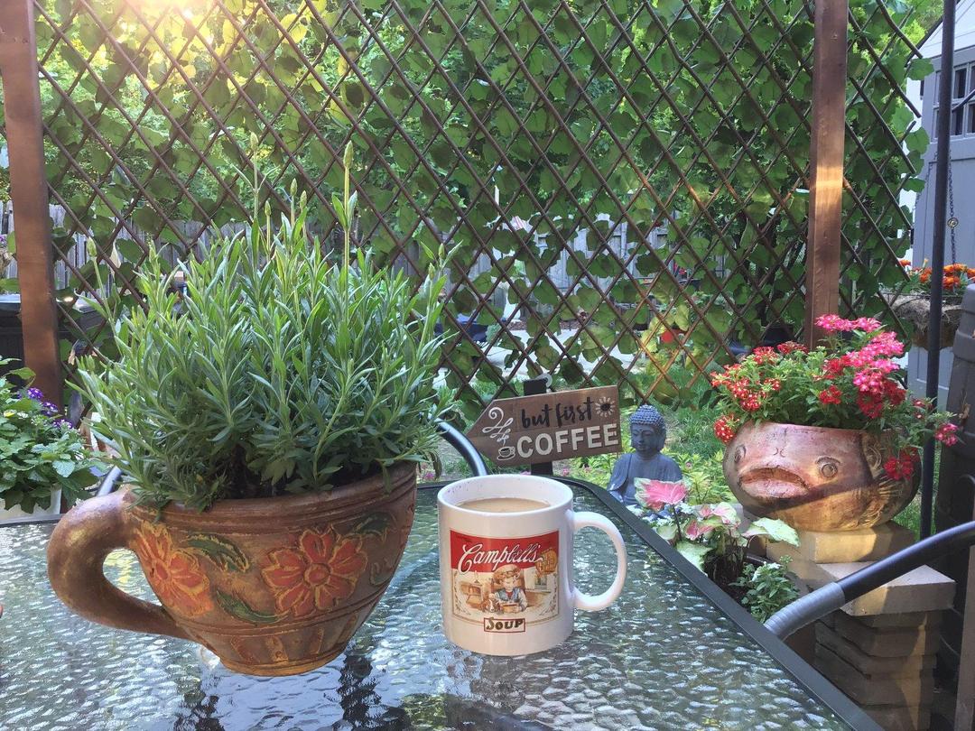 Expandable Faux Privacy Fence