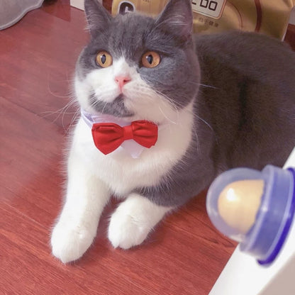 VitaCat™ - Vitamin Pacifier for Cat