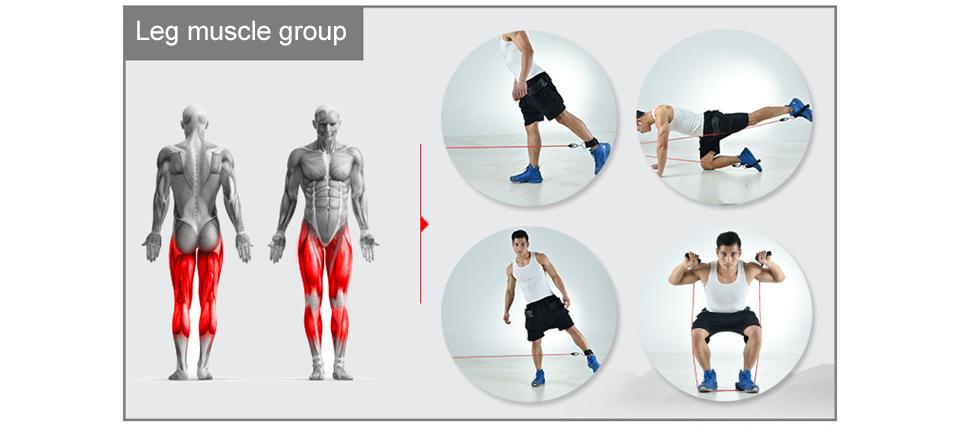 Ultimate Workout Set