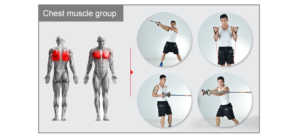 Ultimate Workout Set