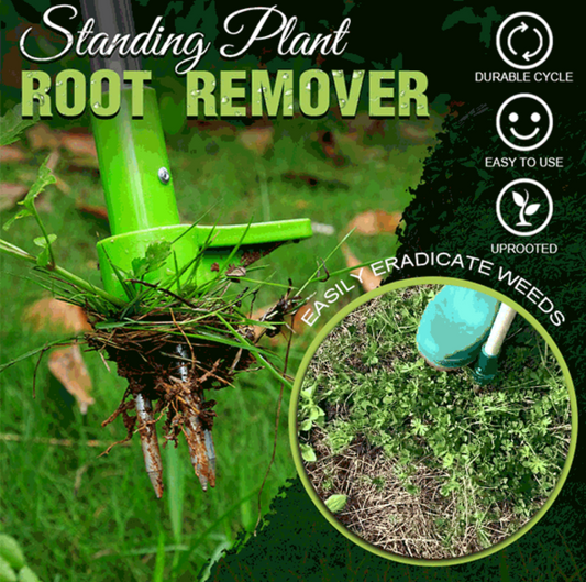 Standing Plant Root Remover