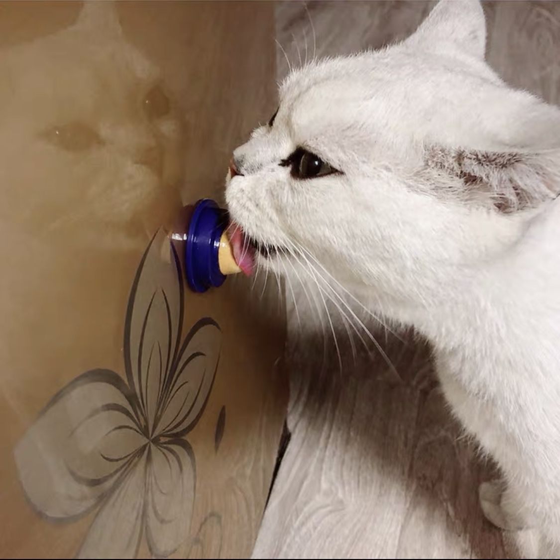 VitaCat™ - Vitamin Pacifier for Cat
